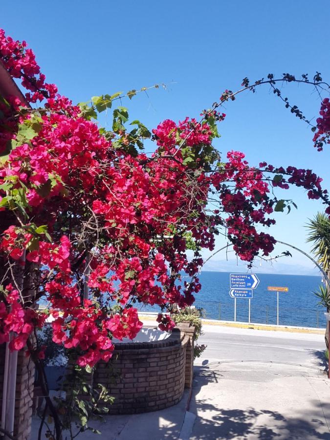Faliraki Apartments Mpenitses Eksteriør billede